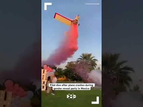 Pilot dies after plane crashes during gender reveal party in Mexico